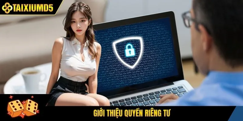 Giới thiệu quyền riêng tư